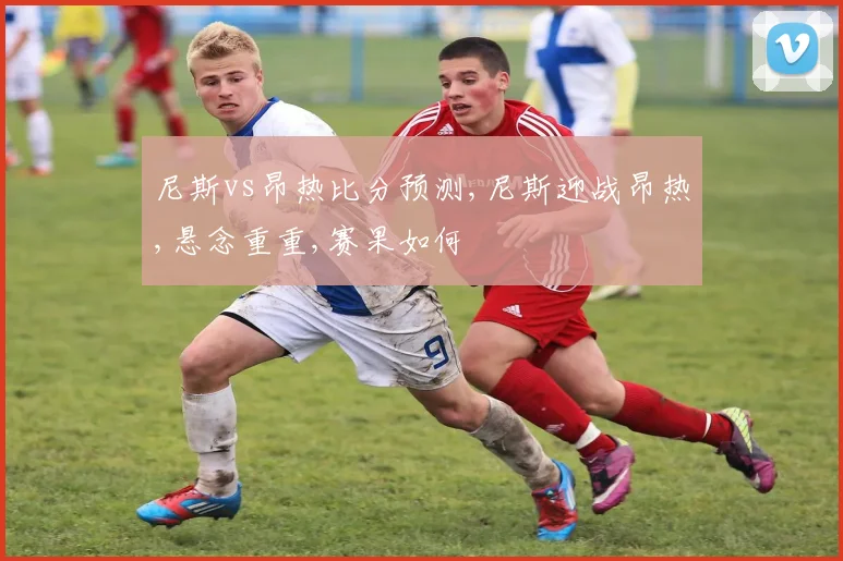 尼斯vs昂热比分预测,尼斯迎战昂热,悬念重重,赛果如何