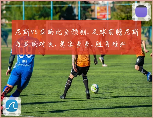 尼斯vs亚眠比分预测,足球前瞻尼斯与亚眠对决,悬念重重,胜负难料